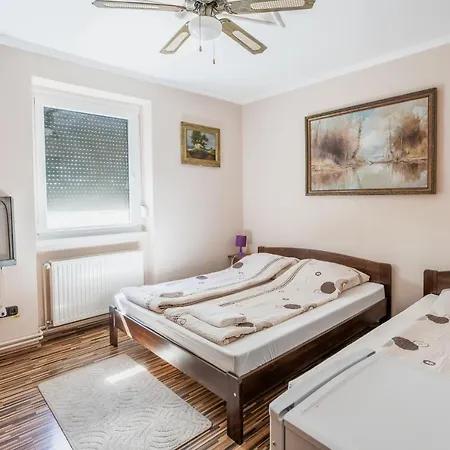 Πανσιόν Tizto Vendeghaz *