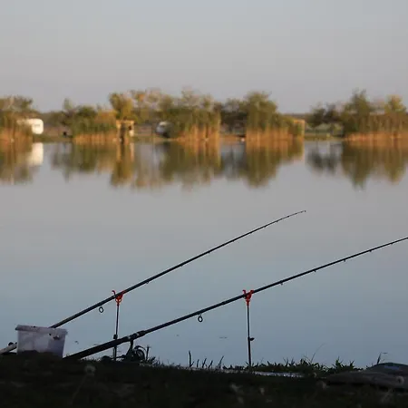 Tizto Vendeghaz Πανσιόν